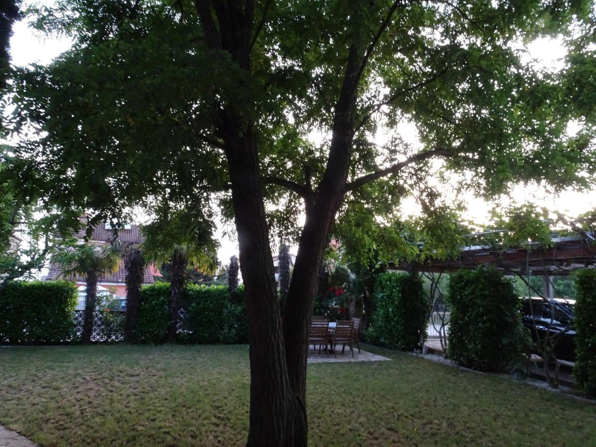 Apartments Zvezdica*** With Garden Zambratija  Exterior foto